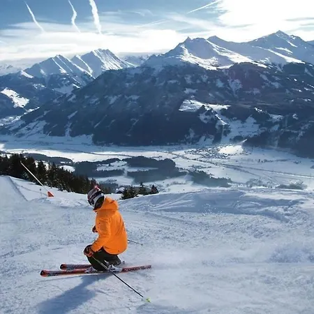 Alpin Residenzen 12 Hollersbach im Pinzgau